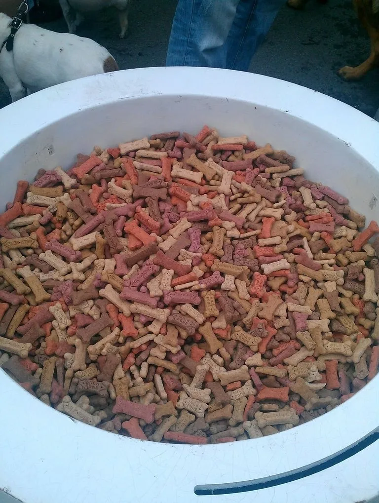 a6.com dog food bowl 01