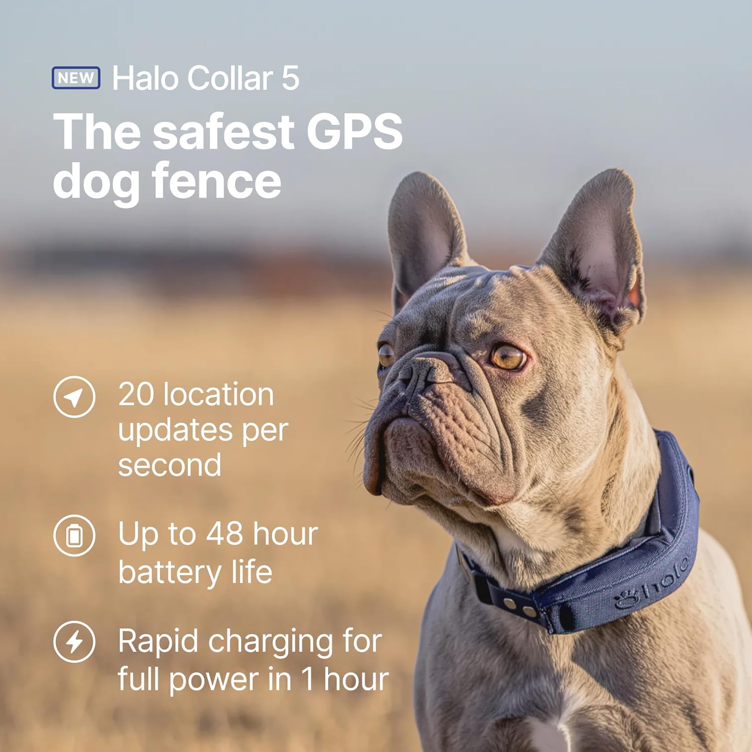 Halo Collar 4 | Smart GPS Dog Fence & Training Collar - Image 3