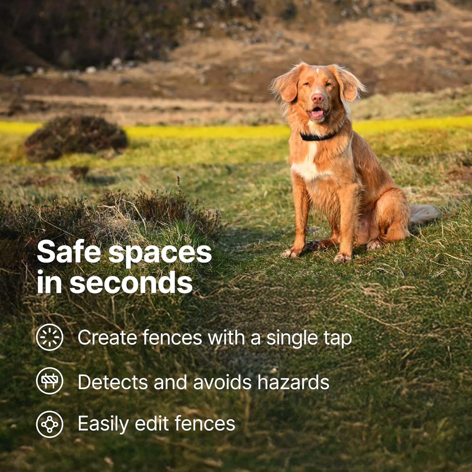 Halo Collar 4 | Smart GPS Dog Fence & Training Collar - Image 5