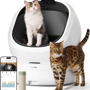 Automatic Self-Cleaning Litter Box with AI Camera