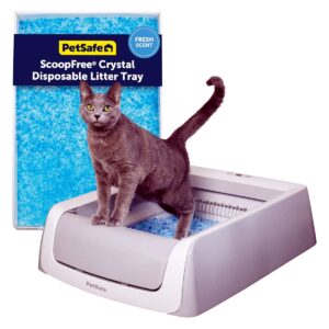 PetSafe ScoopFree Crystal Pro Self-Cleaning Litter Box with Health Counter main product photo