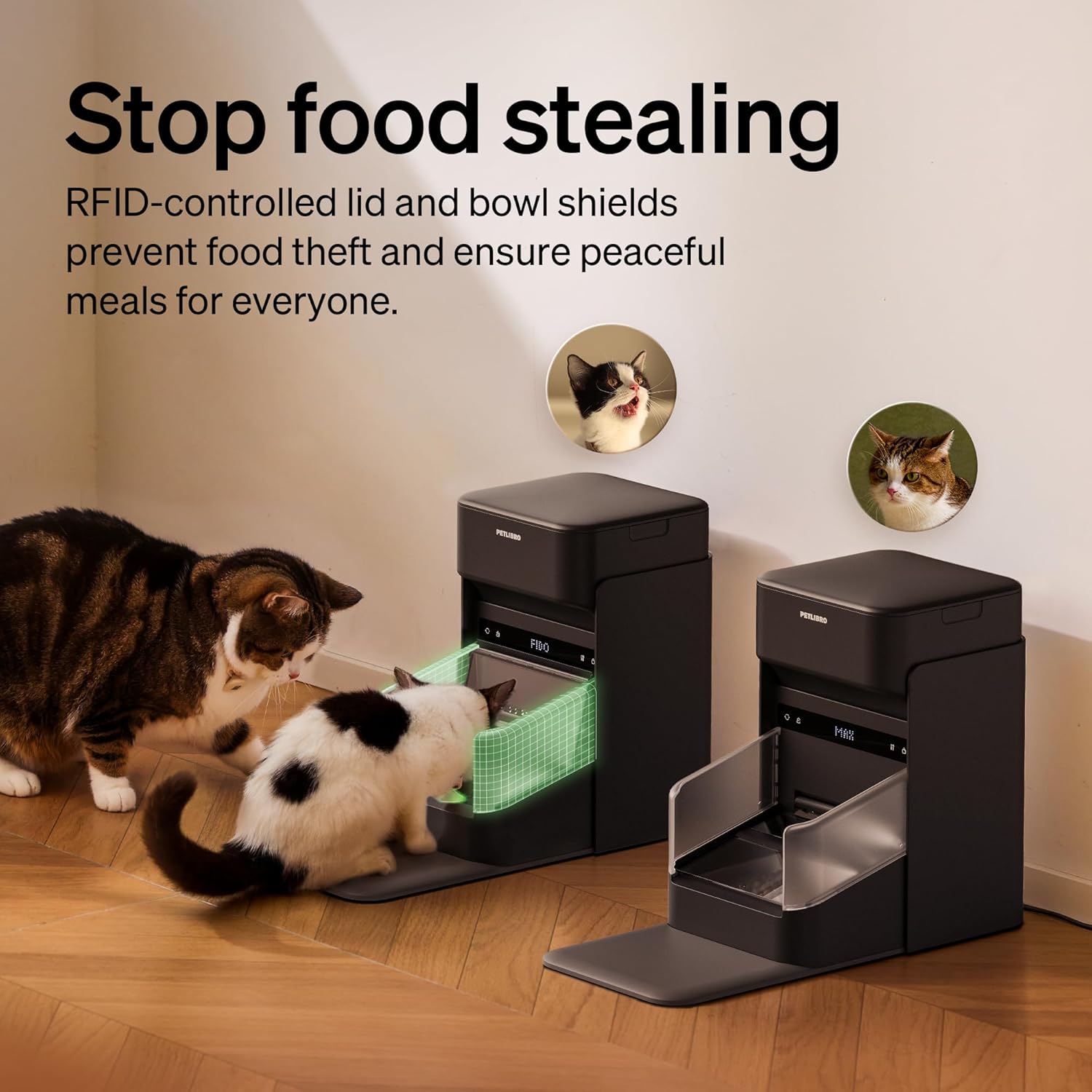 PETLIBRO RFID Pet Feeder | Stop Food Stealing & Manage Diets - Image 3