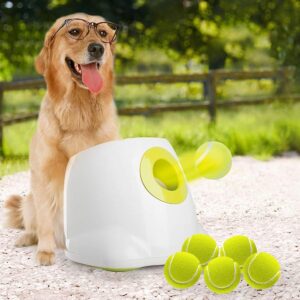 iFetch Interactive Ball Launcher for Dogs
