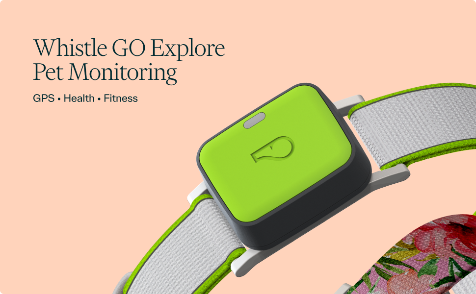 Whistle GO Explore GPS Pet Tracker