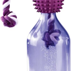 PetSafe Busy Buddy Tug-A-Jug Treat Toy