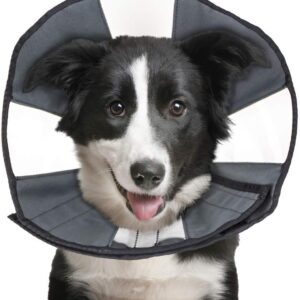 ZenPet ZenCone Soft Recovery Collar