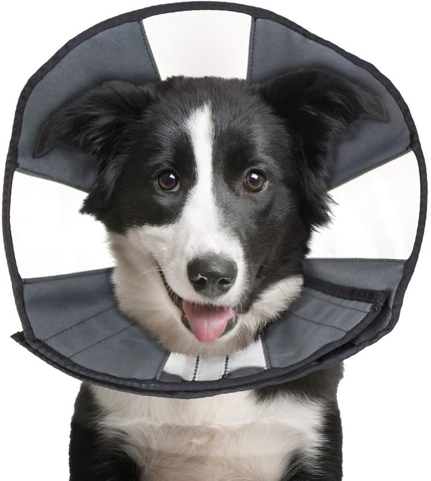 ZenPet ZenCone Soft Recovery Collar
