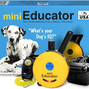 Educator ET-300 Mini Remote Training Collar